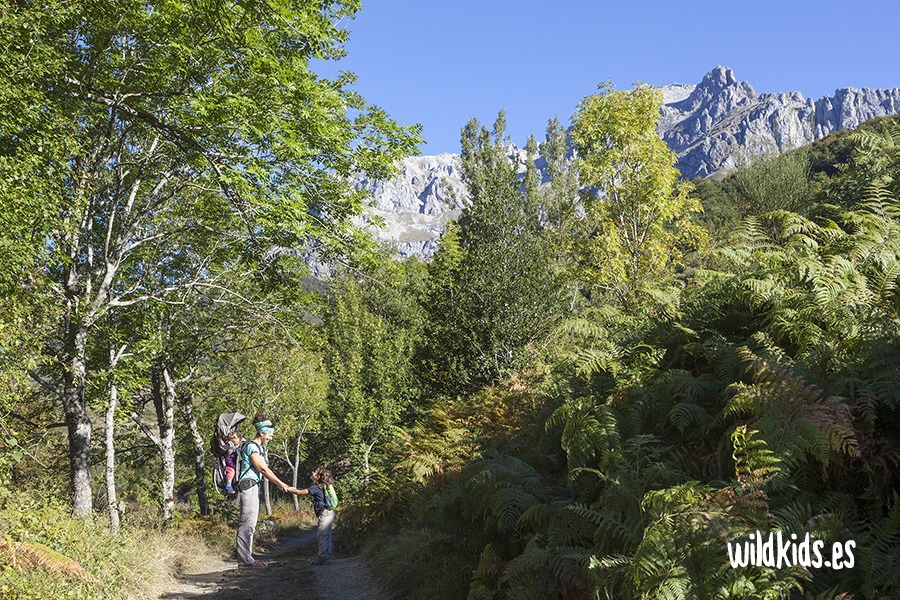 Vega de Llos con niños (1) Excursión con niños en Picos de Europa a vega de Llos