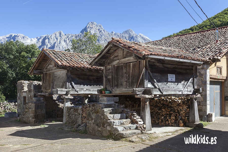 Vega de Llos con niños (7) Excursión con niños en Picos de Europa a vega de Llos