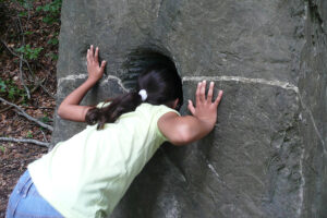 Wildndispark Viajar a Zurich con niños en Suiza: Wildnispark