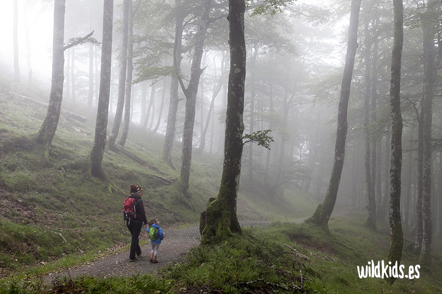excursion con niños a los bosques de Roncesvalles 01 Excursión con niños a los bosques de Roncesvalles en el Pirineo navarro