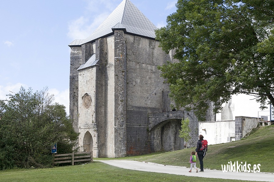 excursion con niños a los bosques de Roncesvalles 05 Excursión con niños a los bosques de Roncesvalles en el Pirineo navarro