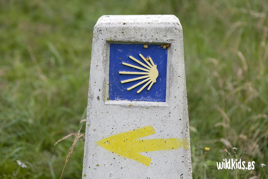 excursion con niños a los bosques de Roncesvalles 06 flecha camino santiago Excursión con niños a los bosques de Roncesvalles en el Pirineo navarro