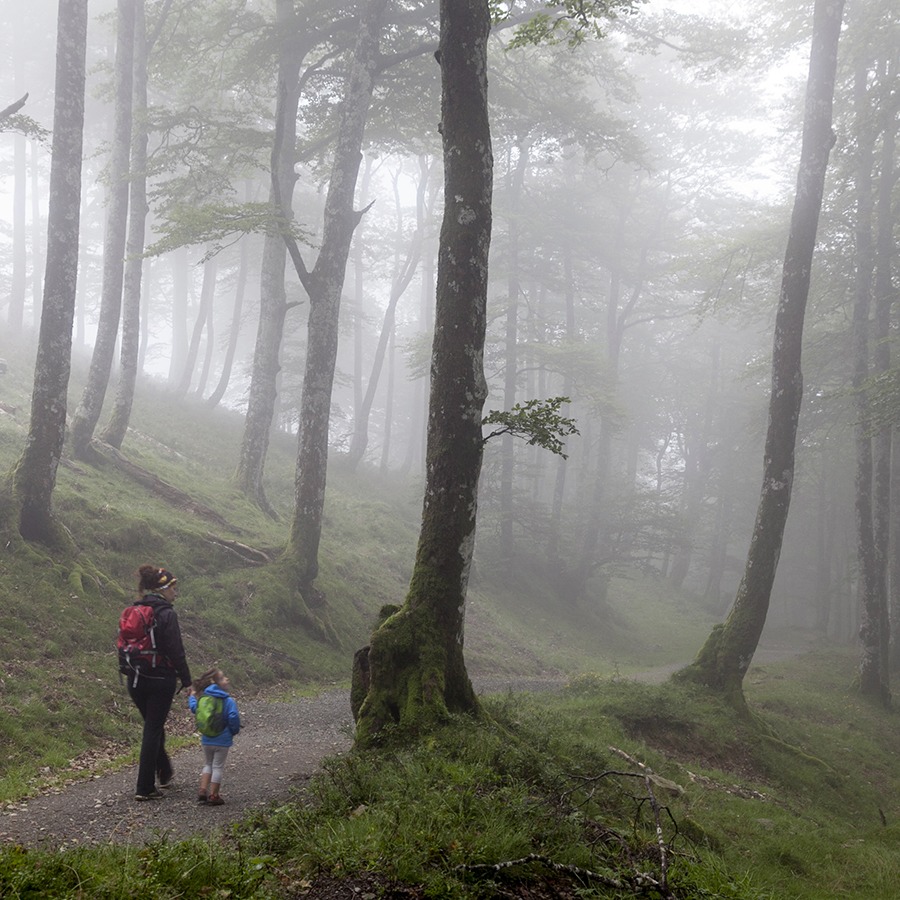 Excursión con niños a los bosques de Roncesvalles