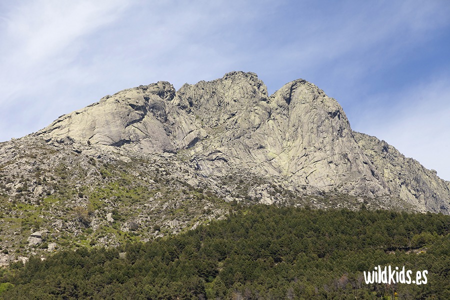 excursion con niños al castañar de las huertas (2) Excursión con niños en Gredos al castañar de las Huertas