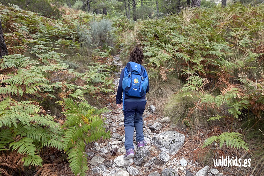 excursion con niños al puesto de el pio (1) Excursión con niños en Gredos al puesto de El Pío