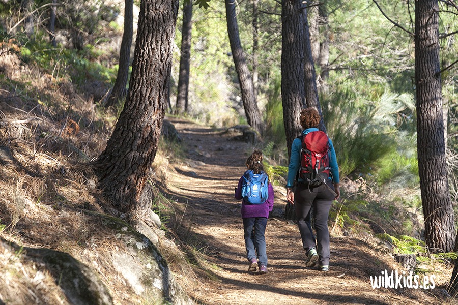 Excursión con niños en Gredos al valle de Iruelas