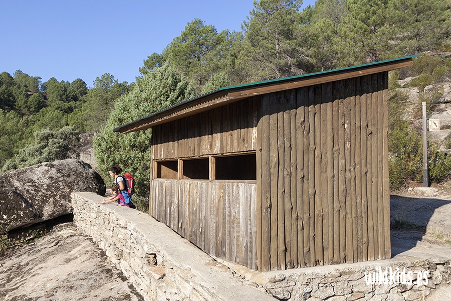 Excursión con niños en Gredos al valle de Iruelas