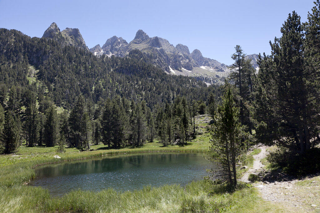 Excursión con niños al ibonet de Batisielles