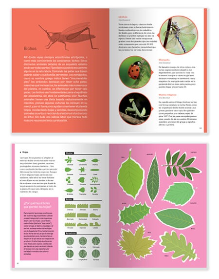 manual_mockup_03_web