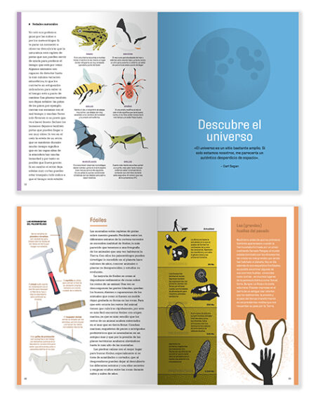 manual_mockup_04_web