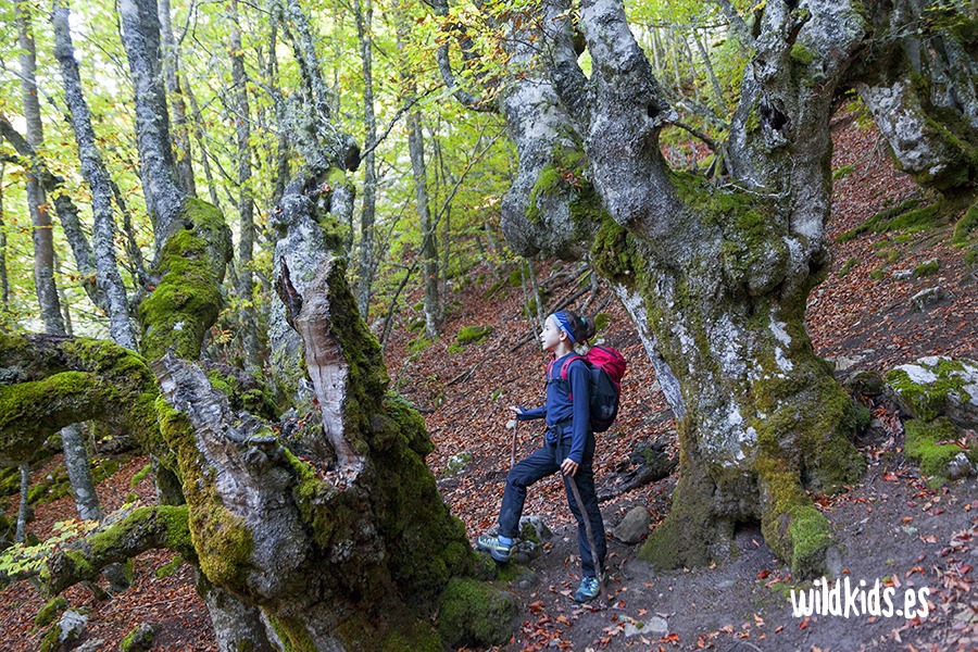 mirador de las Biescas con niños (5) Excursión con niños en Picos de Europa al mirador de las Biescas