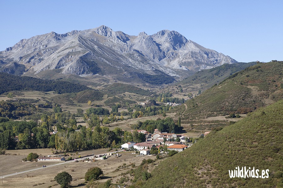 robledal de monte ranedo con niños (1) Excursión con niños en Picos de Europa al robledal de Monte Ranedo