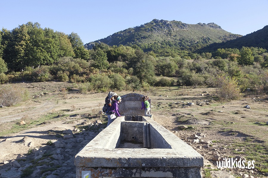 robledal de monte ranedo con niños (2) Excursión con niños en Picos de Europa al robledal de Monte Ranedo