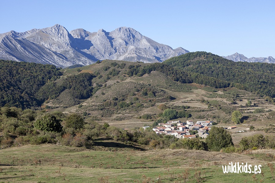 robledal de monte ranedo con niños (6) Excursión con niños en Picos de Europa al robledal de Monte Ranedo
