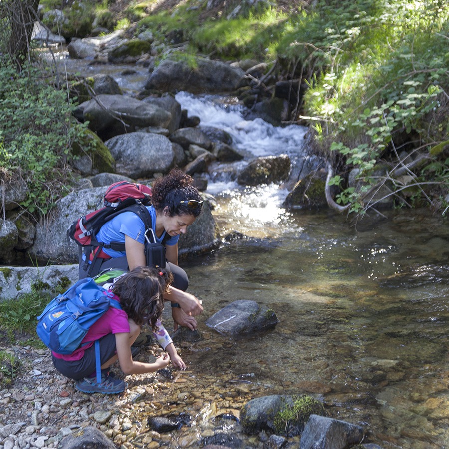 Excursión con niños al Pino de la Cadena