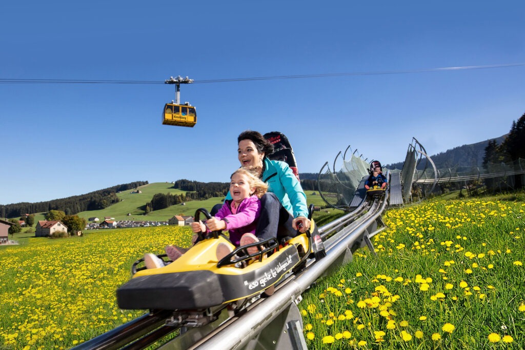Los 10 mejores Toboganes Alpinos de Suiza