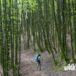 wildkids transpirenaica en familia 1
